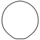 Genuine Casio O-Ring Case Seal - fits Casio G-8900, GD-400, GLS-8900,GR-8900, GWX-8900 & others