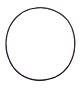Casio GST-S300 & GST-W300 O-Ring Case Seal Gasket