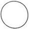 Flat Profile Watch Case Seal - 29.8 x 31.4 x 0.5 mm